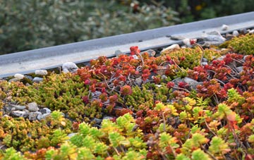 the cost of Preesall Park green roof installation