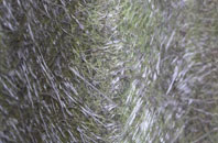 Preesall Park fibreglass roof work